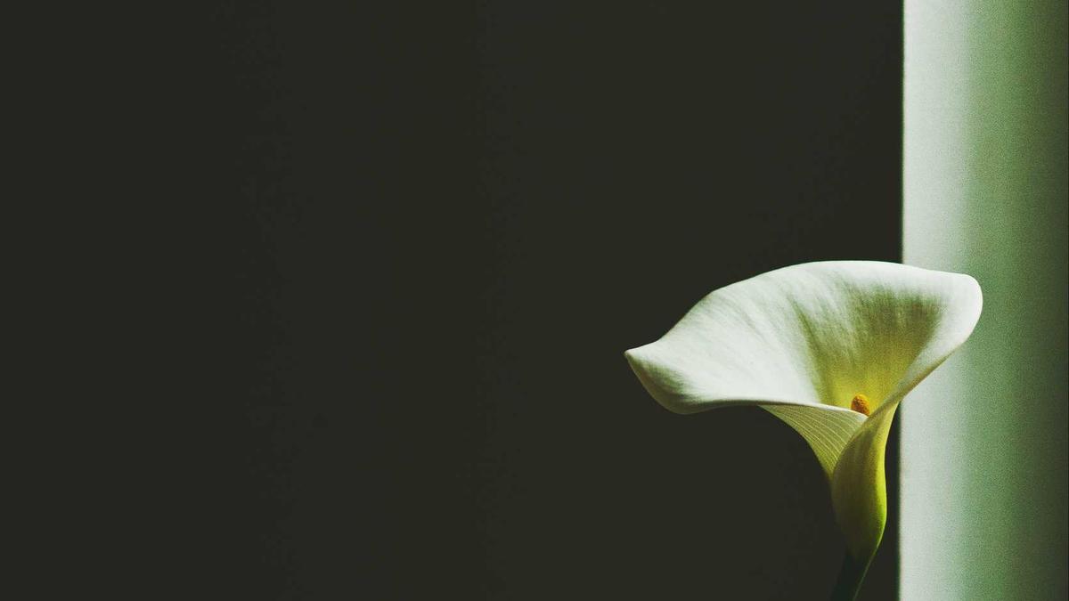 Illustration zu Krieg Zukunft Europa