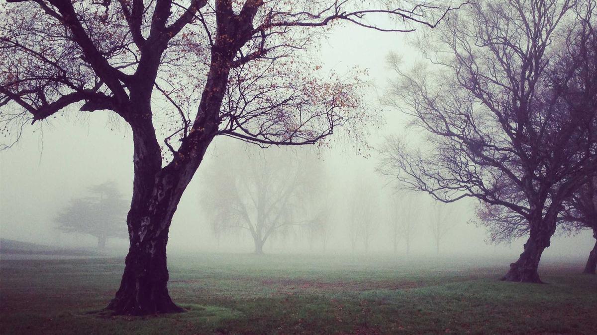 Ladendiebstahl Stuttgart Symbolbild zum Thema Ladendiebstahl Stuttgart