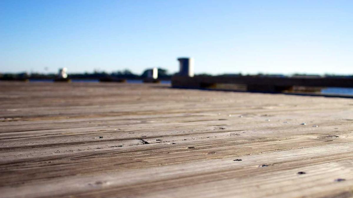 Detailansicht: Larry Ellison