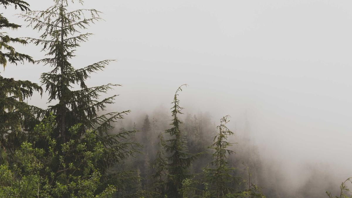 Detailansicht: Lawinenabgang Schmittenhoehe