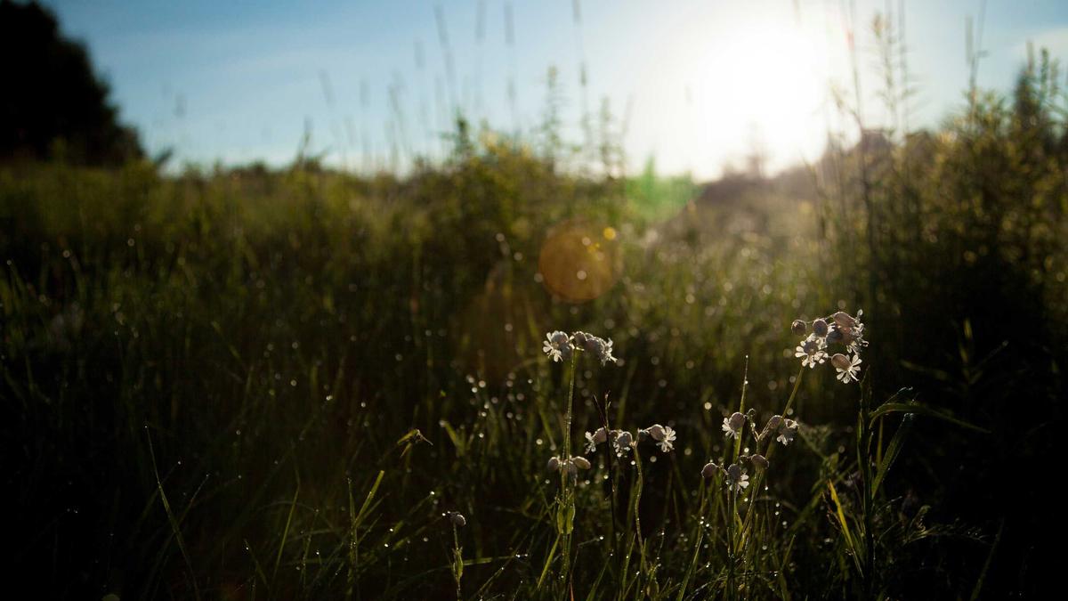 Detailansicht: Lawinenunglück Kalifornien