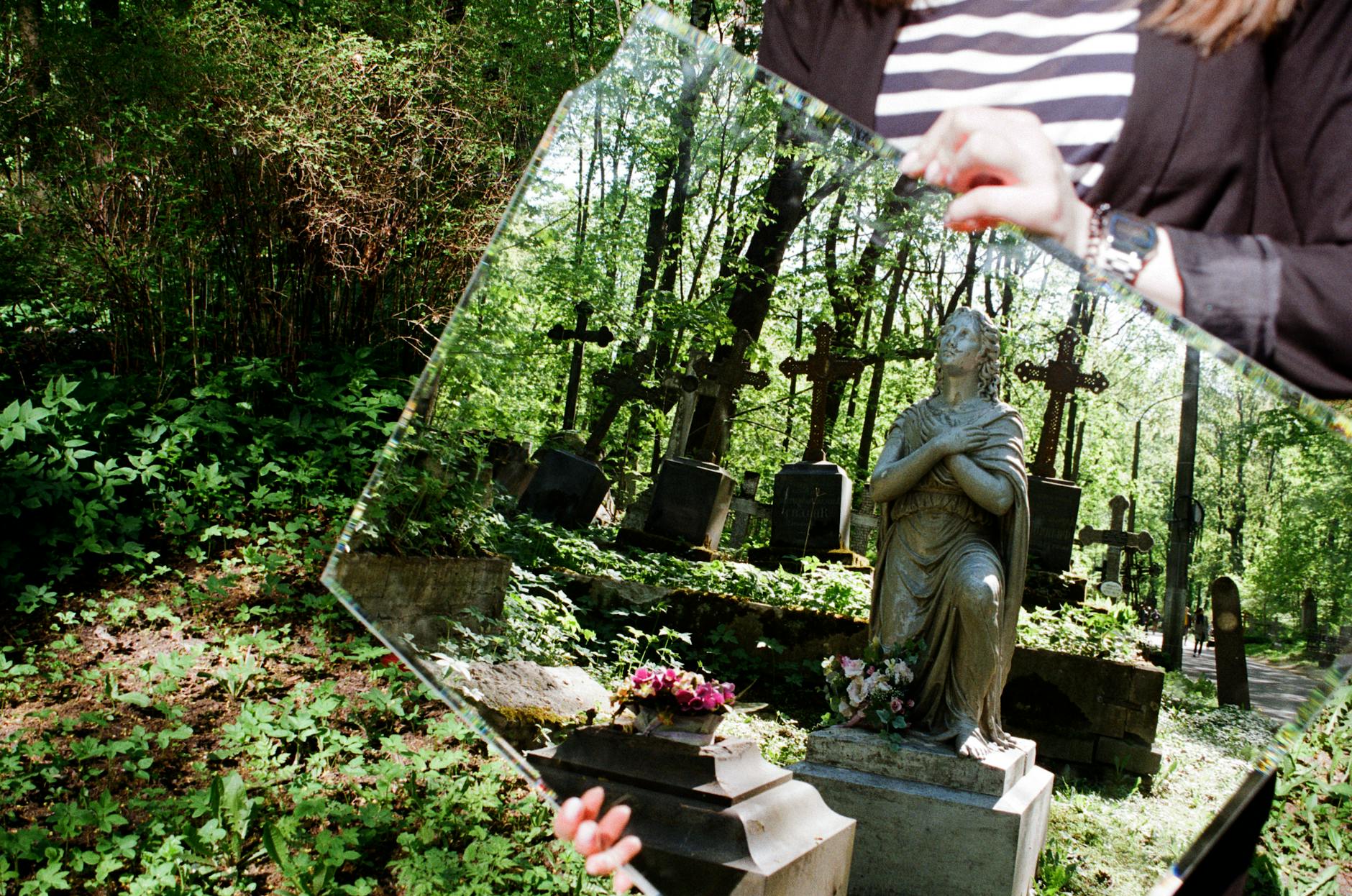 Detailansicht: Leben Nach Dem Tod