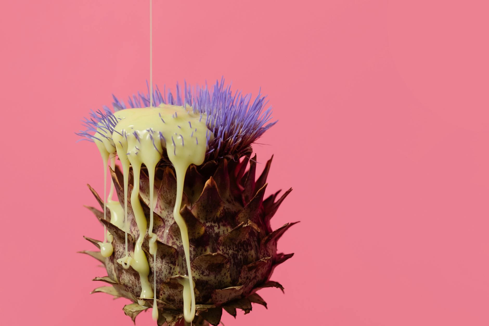 Illustration zu Lebensmittel Gentechnik