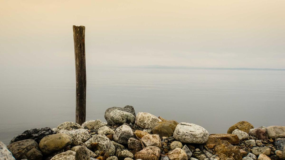 Lee Cronin Mummy Detailansicht: Lee Cronin Mummy