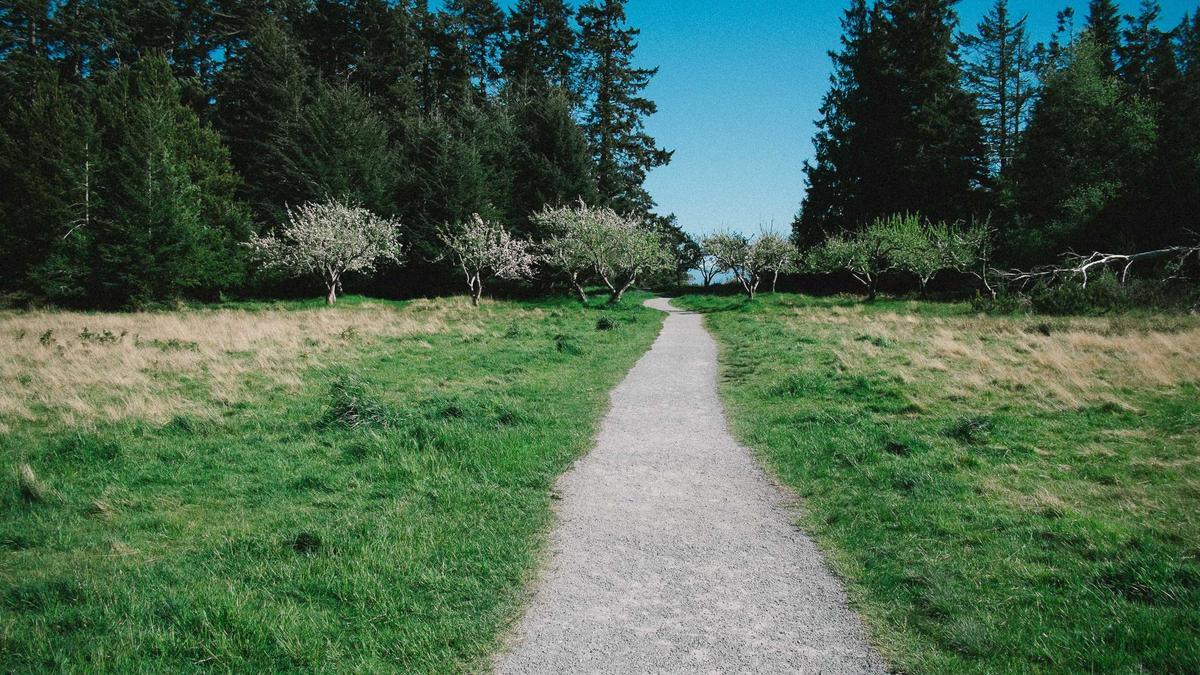 Detailansicht: Leichenfund Staufen