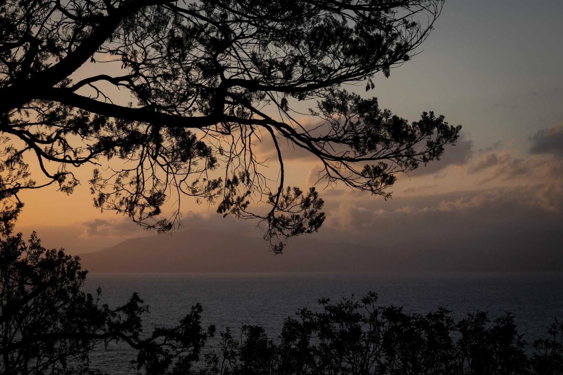 Illustration zu Levante – Valencia