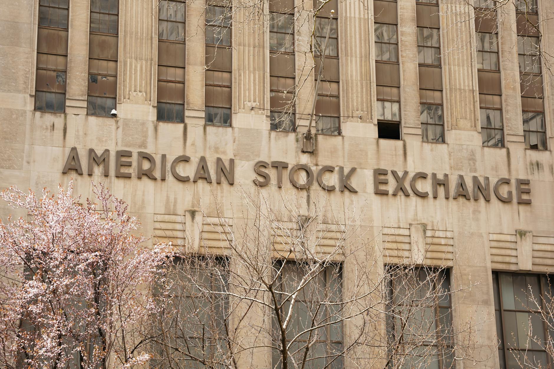 Detailansicht: Lex Tyger Lobinger