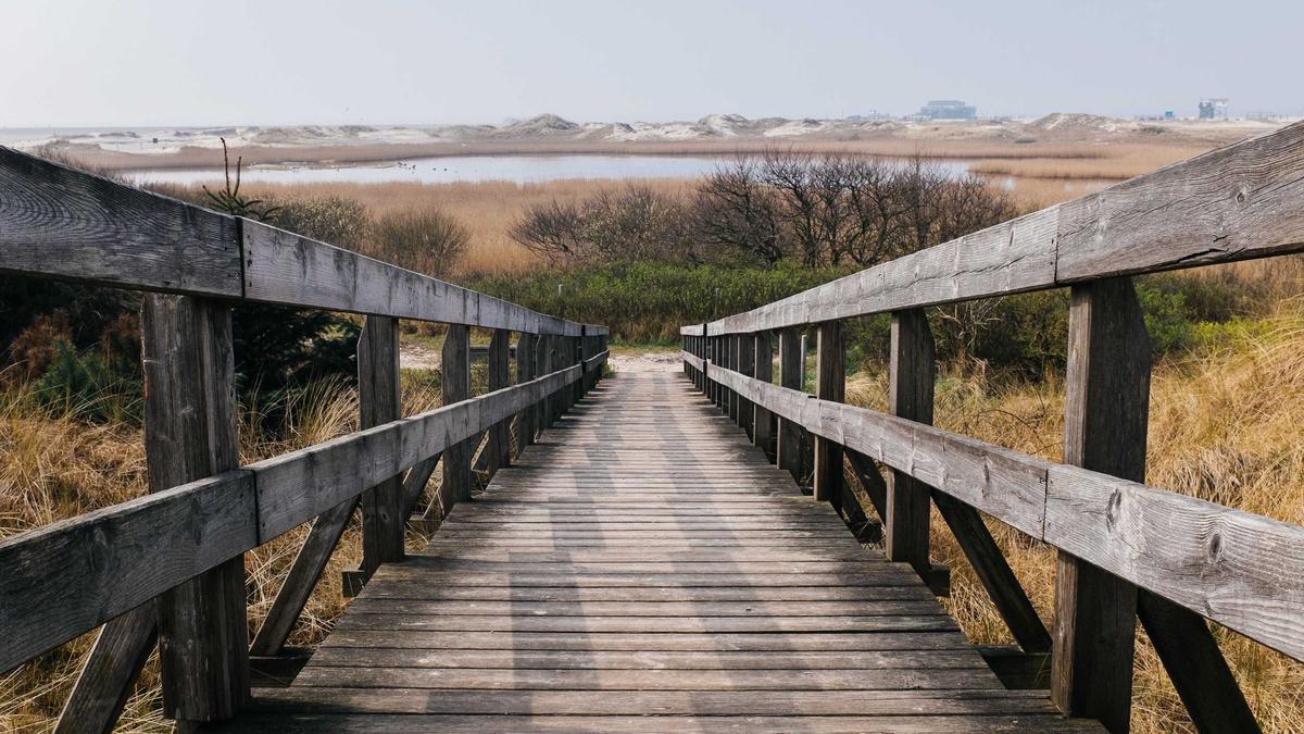 Detailansicht: Lilly Becker Prozess