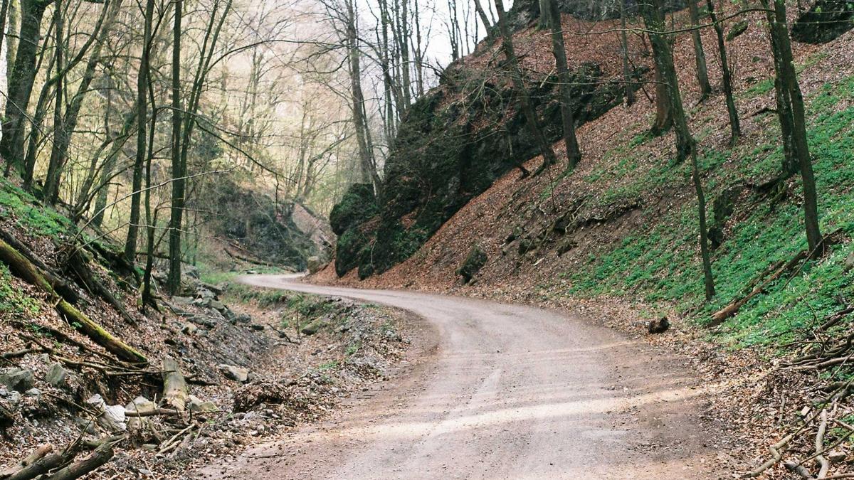 Lisa Straube Sohn Tot Illustration zu Lisa Straube Sohn Tot