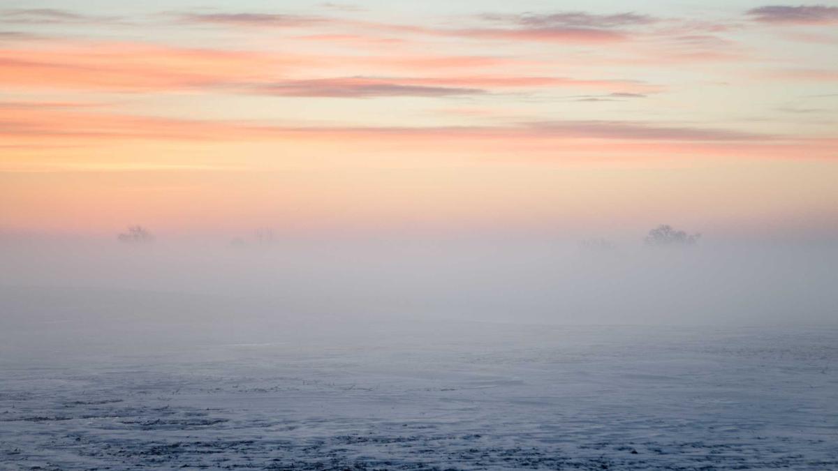Illustration zu Litauen Brigade Freiwillige