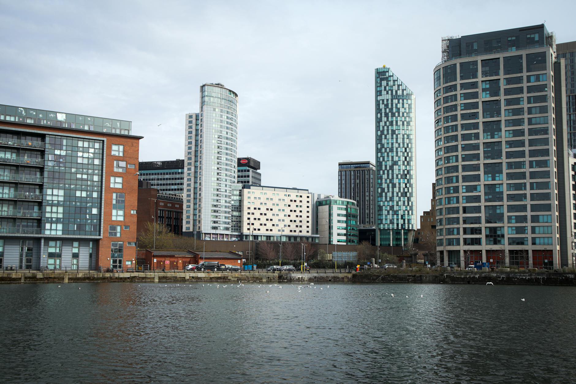 Illustration zu Liverpool – Brighton