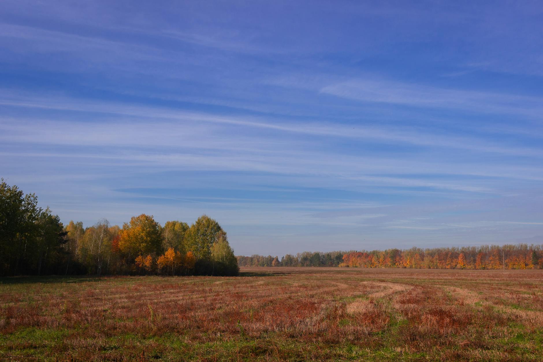 Illustration zu Losc – Stade Brest