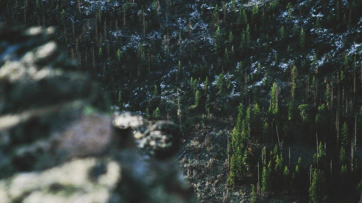 Detailansicht: Luftbefeuchter Heizung