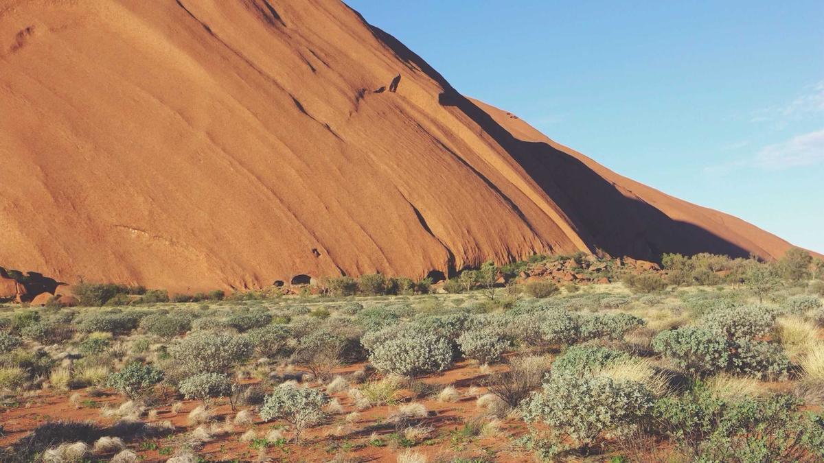 Illustration zu LYNX R2 Pleite