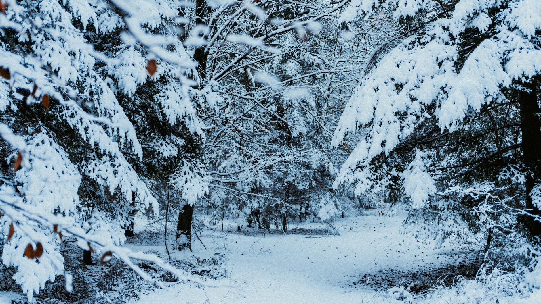 Mallorca Schnee Illustration zu Mallorca Schnee