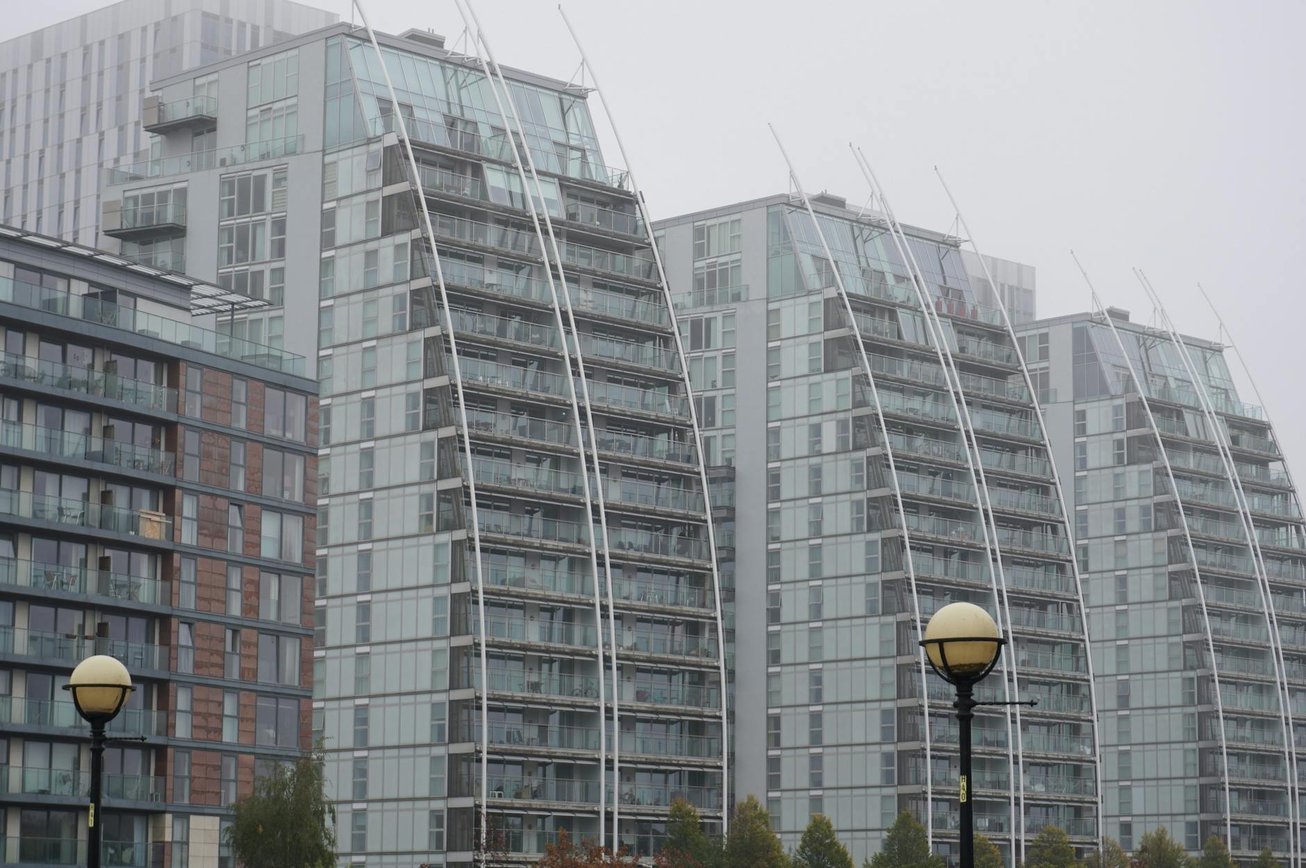 Illustration zu Manchester City – Salford City