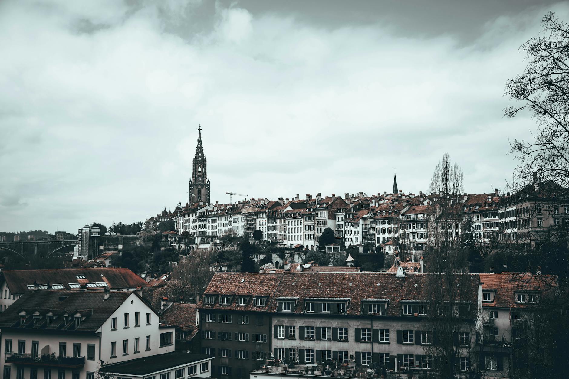 Marokkaner Festnahme Bern Detailansicht: Marokkaner Festnahme Bern