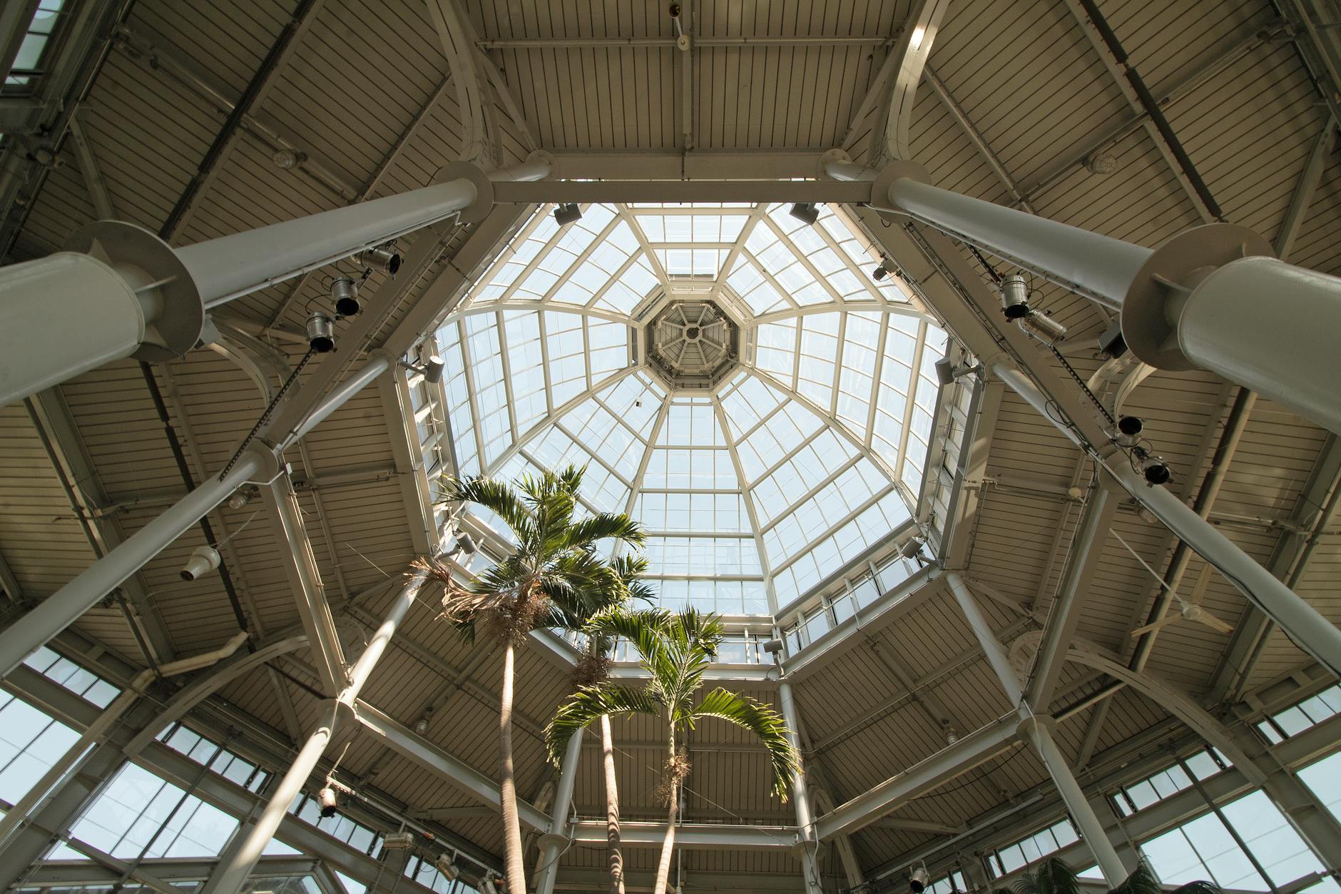 Symbolbild zum Thema Matthias Ginter