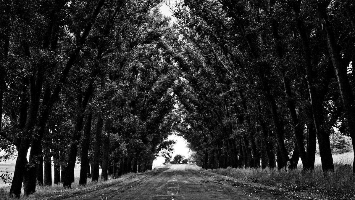 Illustration zu Max Verstappen Nürburgring