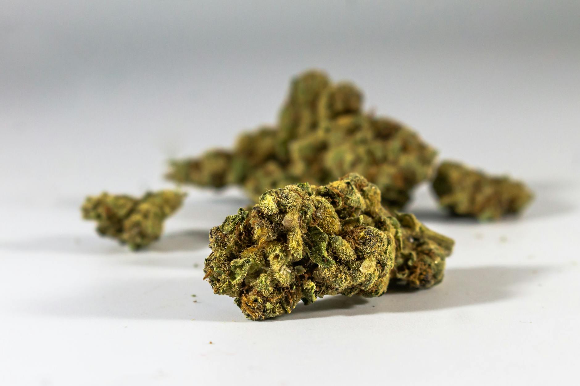 Illustration zu Medizinisches Cannabis Psychische Erkrankungen