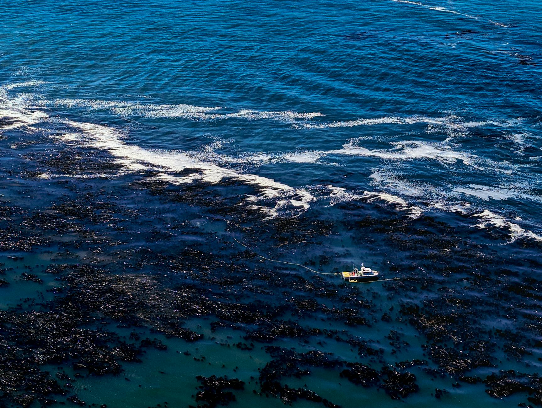 Illustration zu Meeresschutz Un