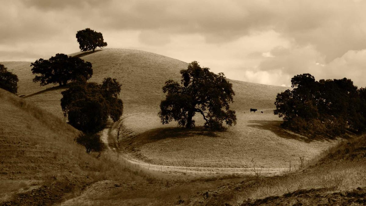 Detailansicht: Meta Smartwatch