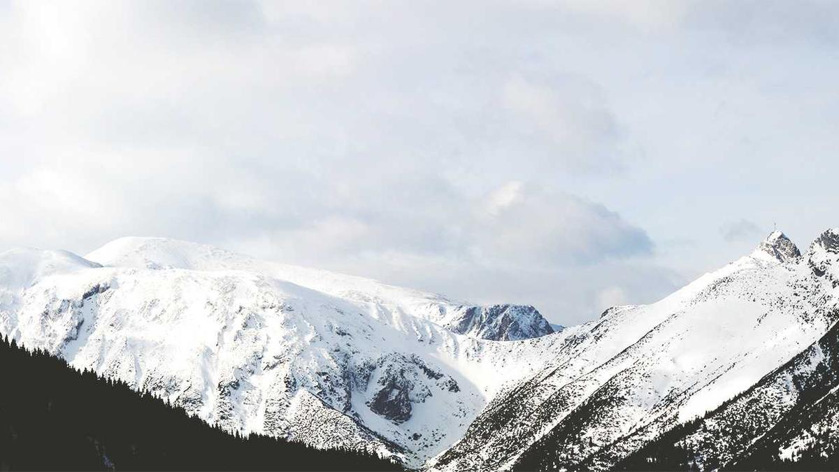 Metro Betrug Detailansicht: Metro Betrug