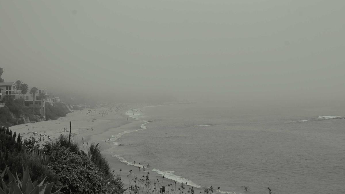 Symbolbild zum Thema Michael Patrick Kelly