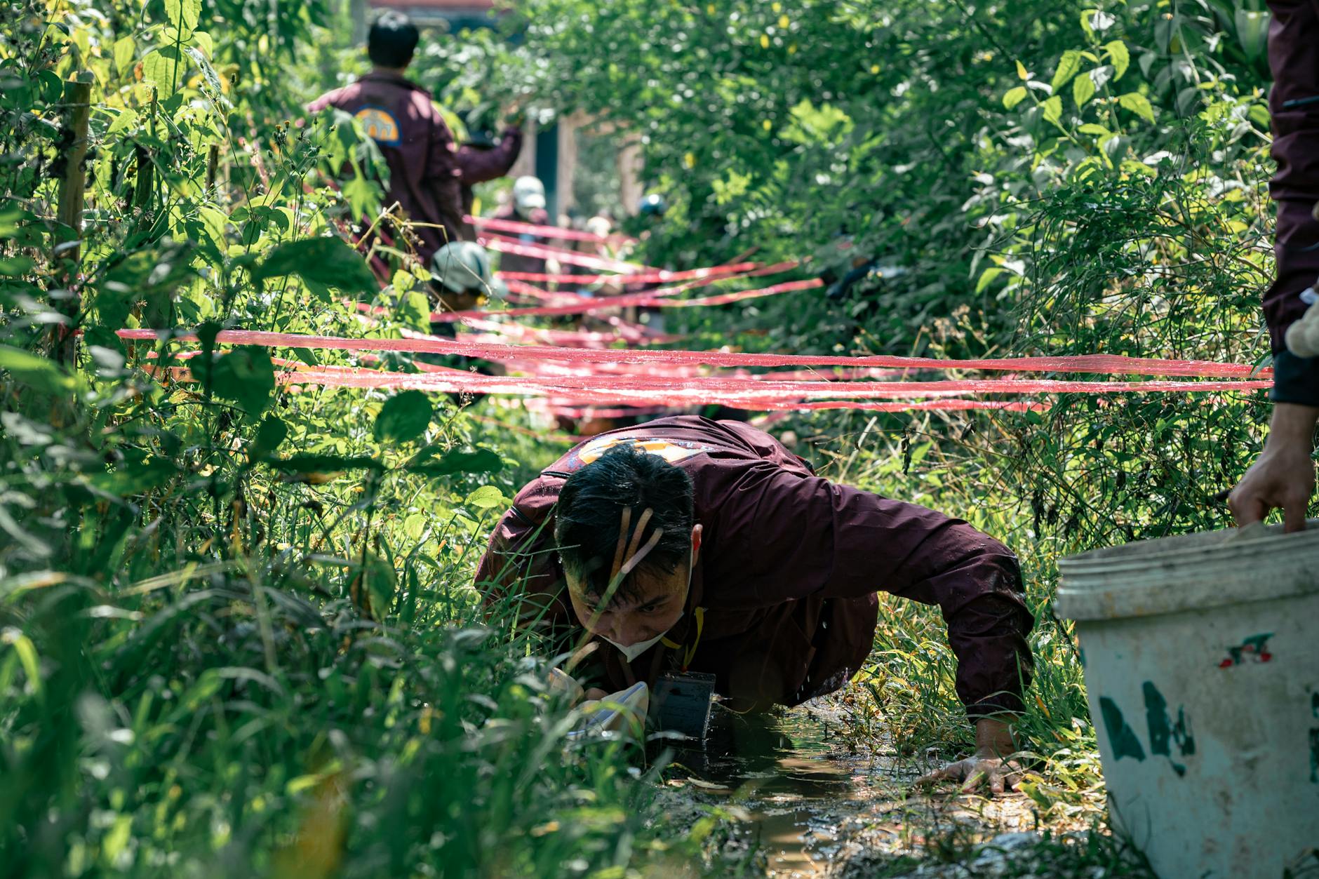 Symbolbild zum Thema Minensuchratte Kambodscha