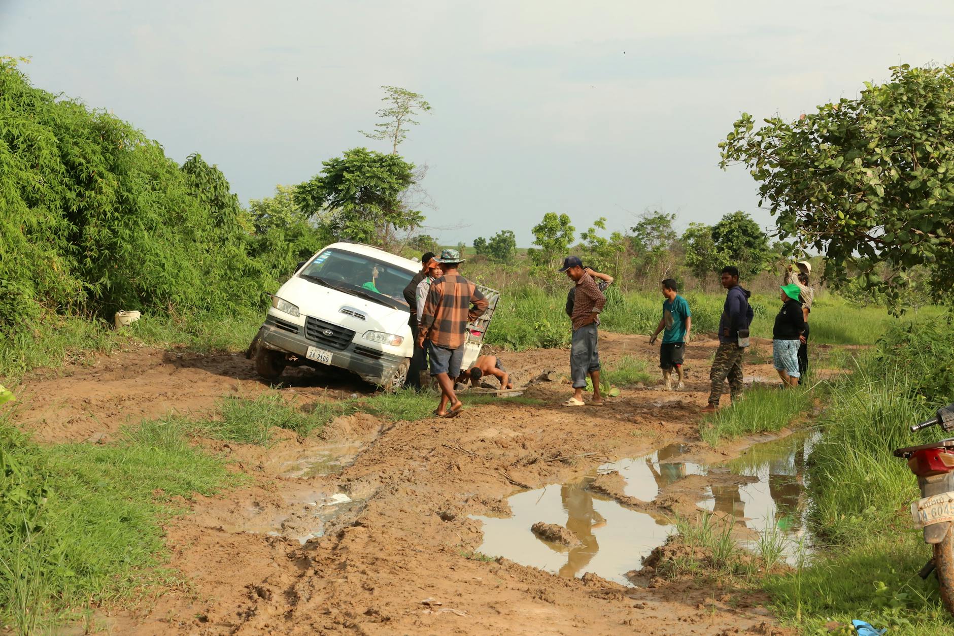 Detailansicht: Minensuchratte Kambodscha