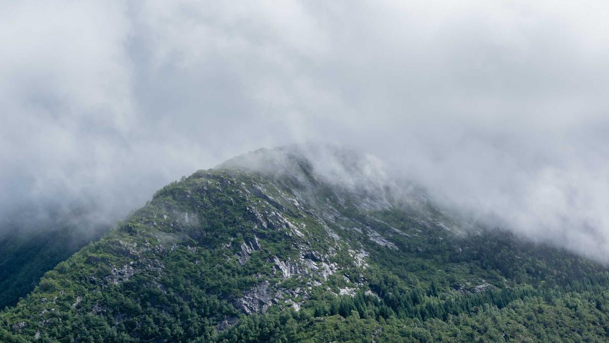 Motten Bekämpfen Motten Bekämpfen