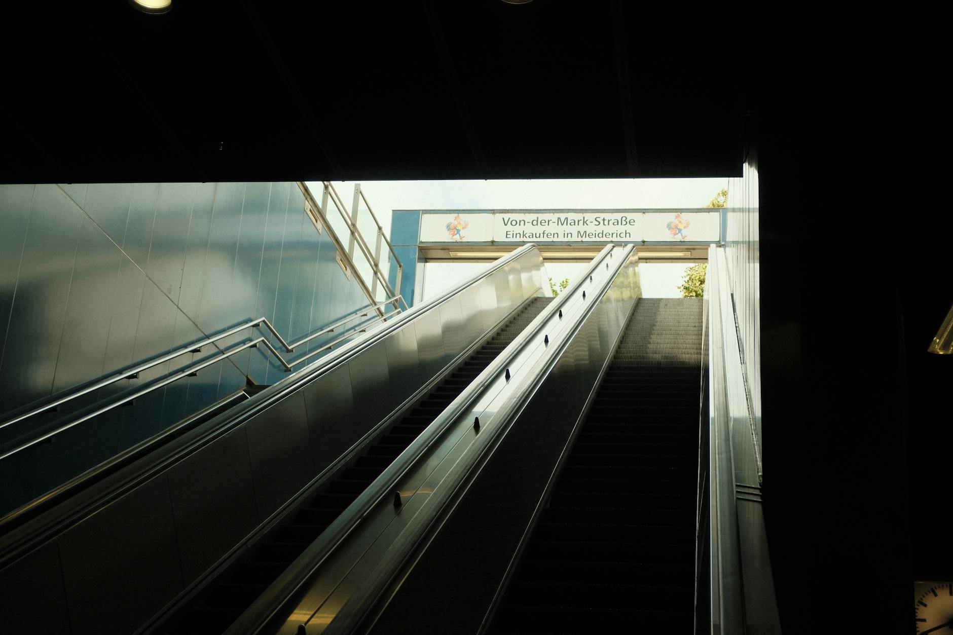 MSV Duisburg Detailansicht: MSV Duisburg