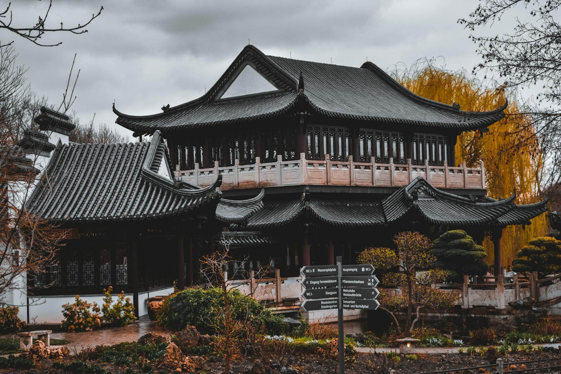 Illustration zu MSV Duisburg – Saarbruecken