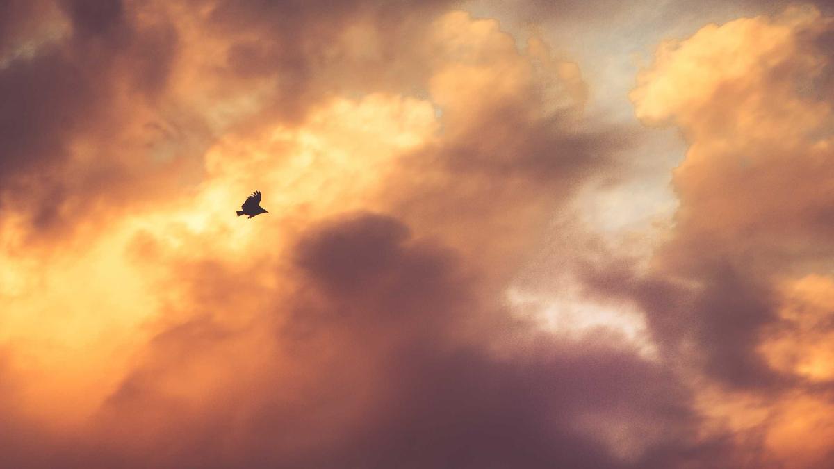 Detailansicht: Mülltonnenbrand München