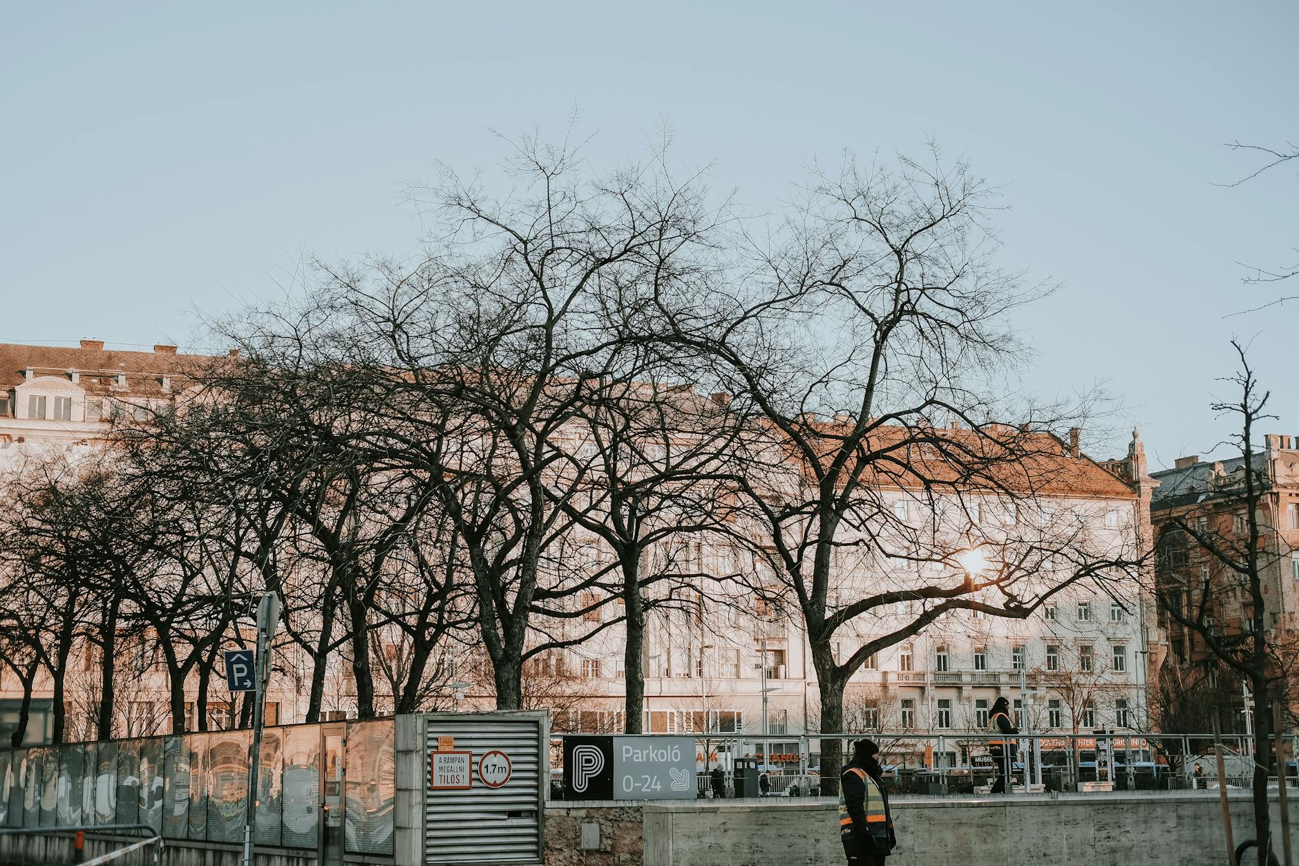 Muenchen Baeume Teuer Illustration zu Muenchen Baeume Teuer