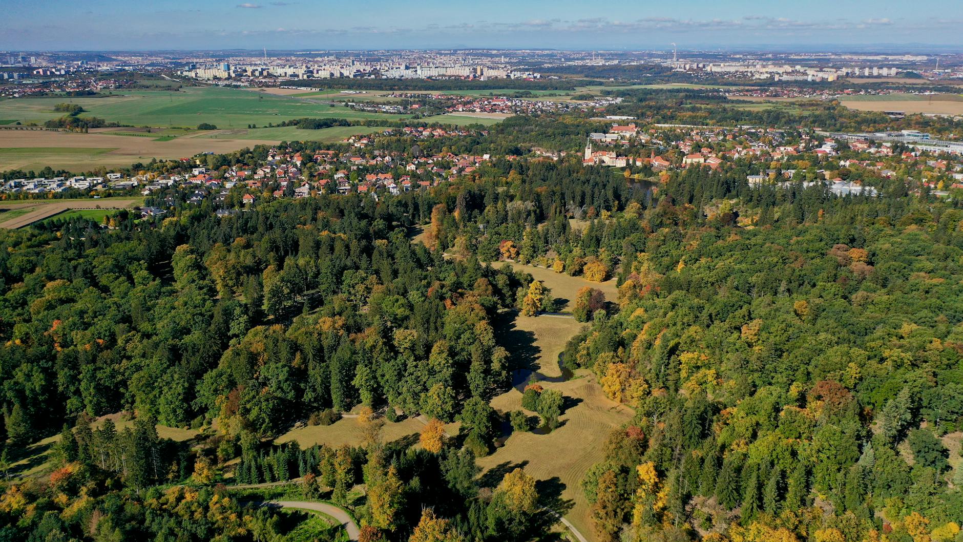 Muenchen Baeume Teuer Detailansicht: Muenchen Baeume Teuer
