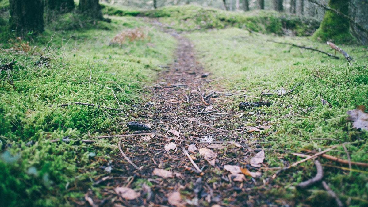 Detailansicht: Neandertaler