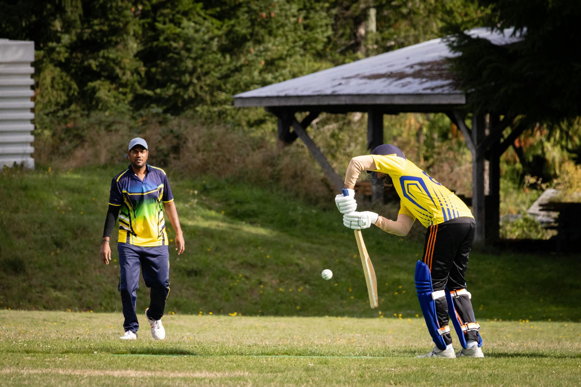 New Zealand National Cricket Team VS South Africa National Cricket Team Match Scorecard Symbolbild zum Thema New Zealand National Cricket Team VS South Africa National Cricket Team Match Scorecard