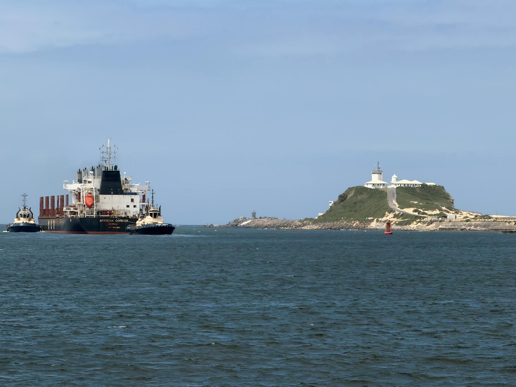 Detailansicht: Newcastle Krankheit