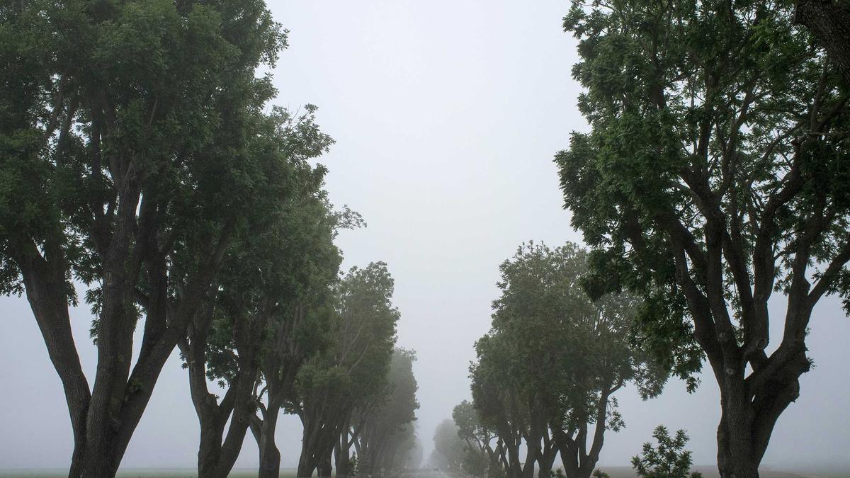 Nigeria Geburtenrate Detailansicht: Nigeria Geburtenrate