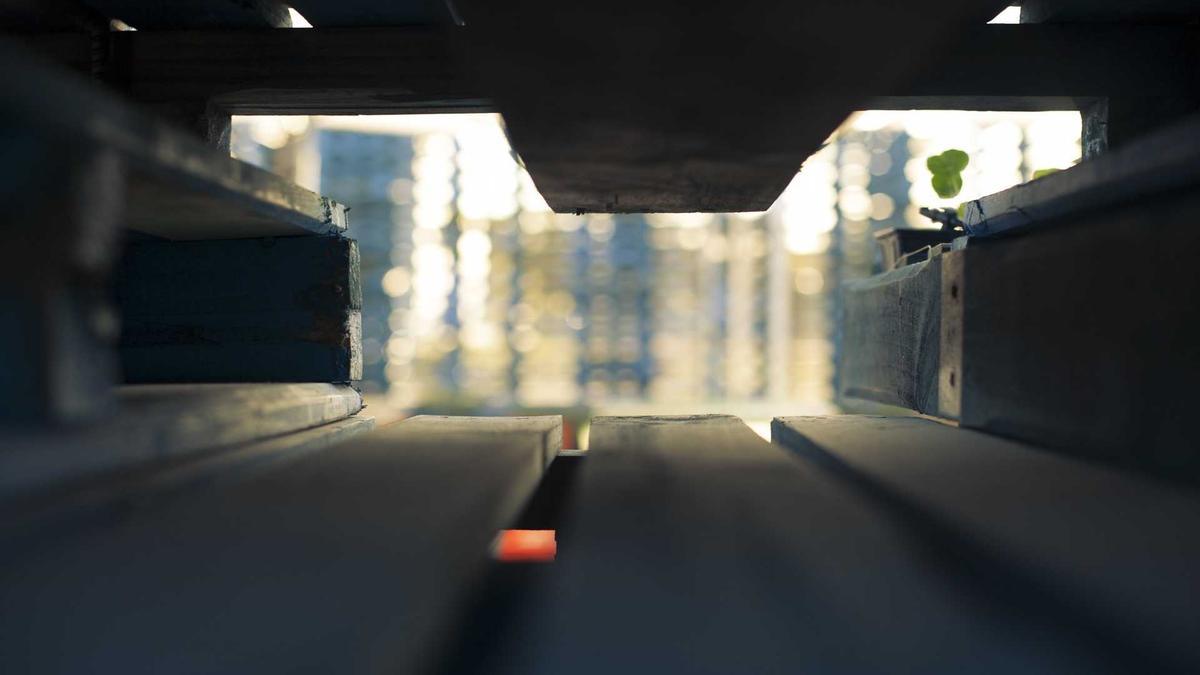 NLS Symbolbild zum Thema NLS