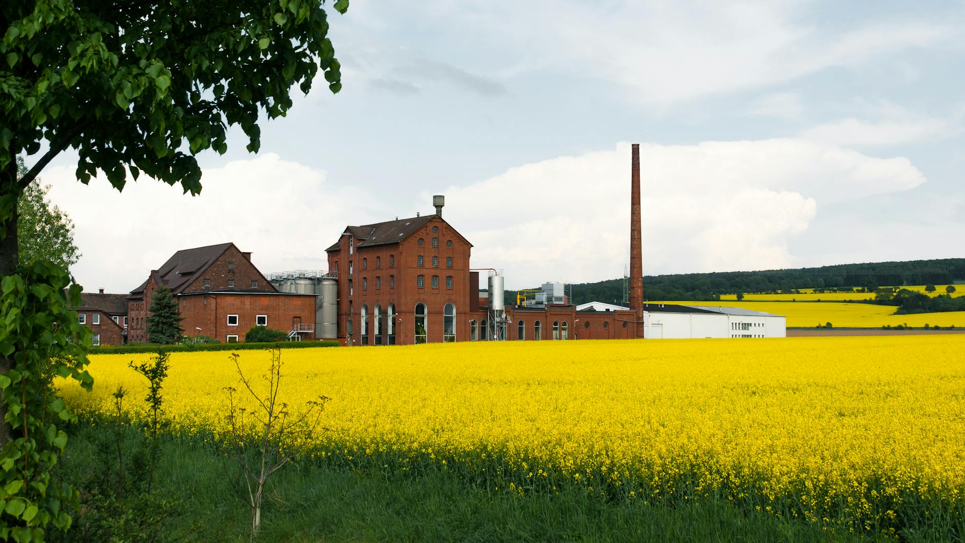 Symbolbild zum Thema Oettinger Brauerei Ausland