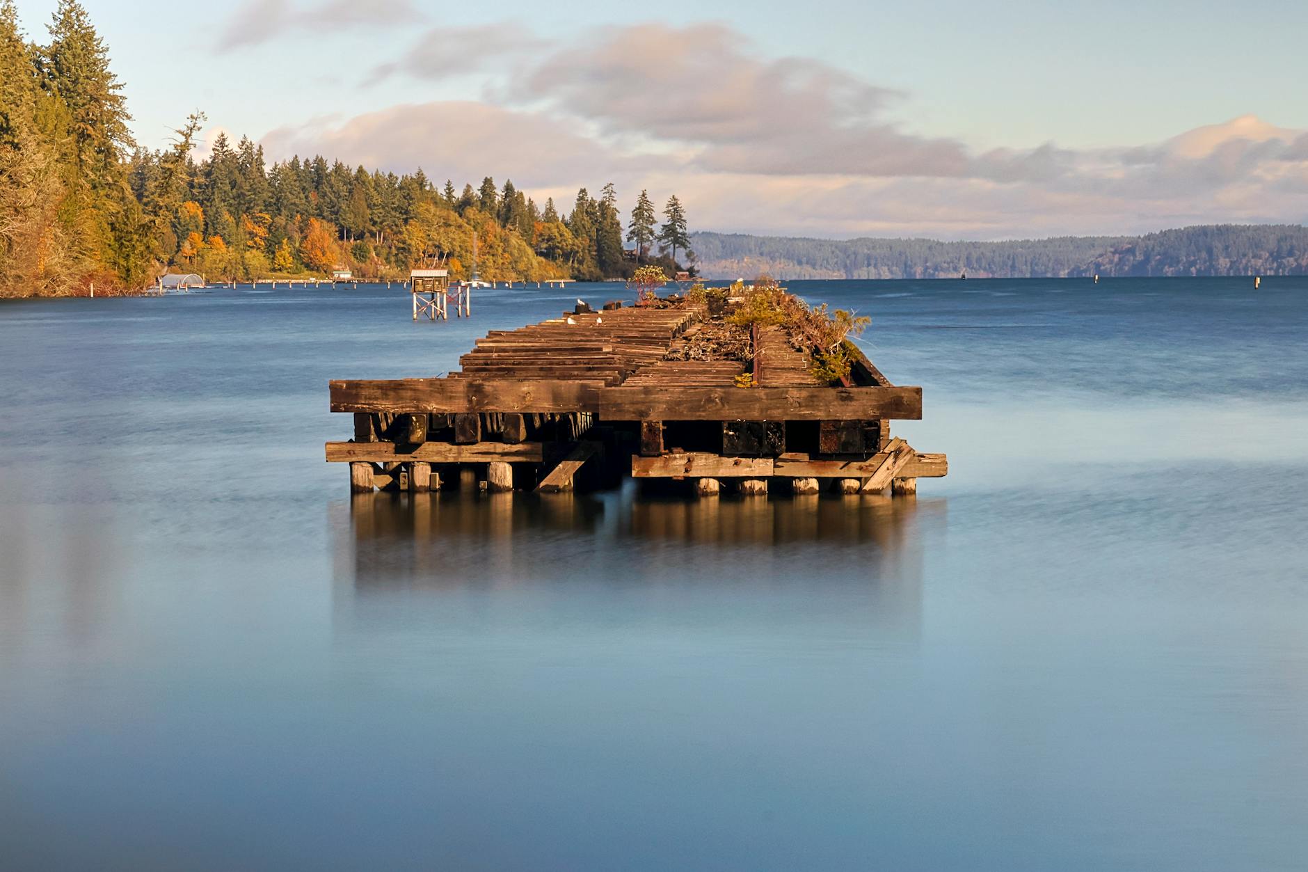 Olympia Skeleton Detailansicht: Olympia Skeleton