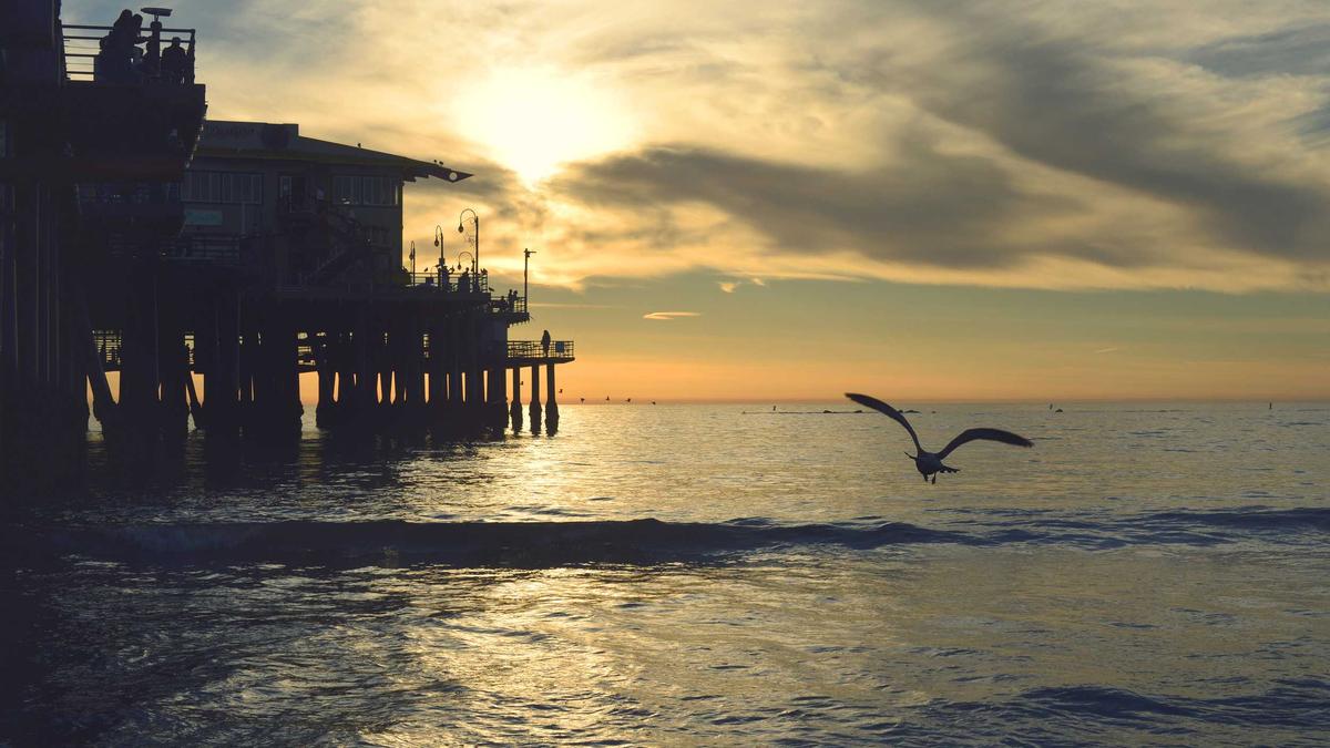 Detailansicht: Olympische Winterspiele 2026 – Ergebnisse Des Freestyle-skiing Big Air Der Männer