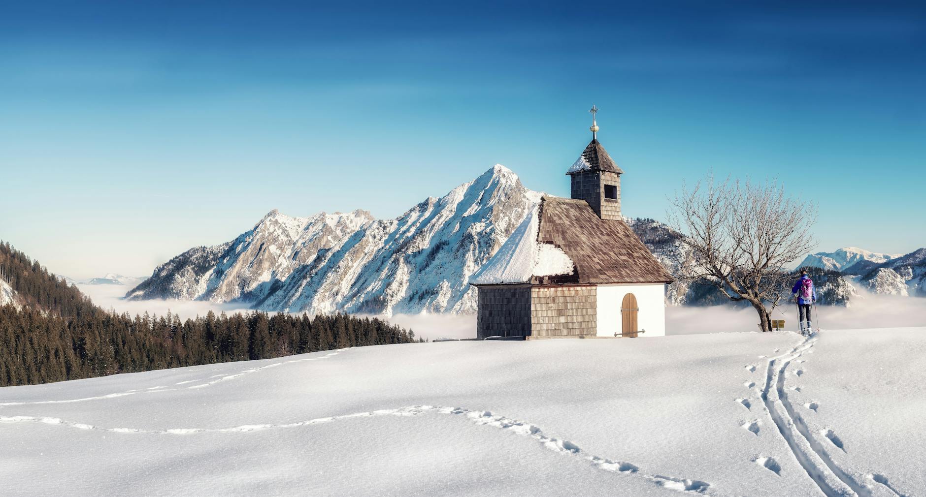 Illustration zu Orf Manager Pius Strobl