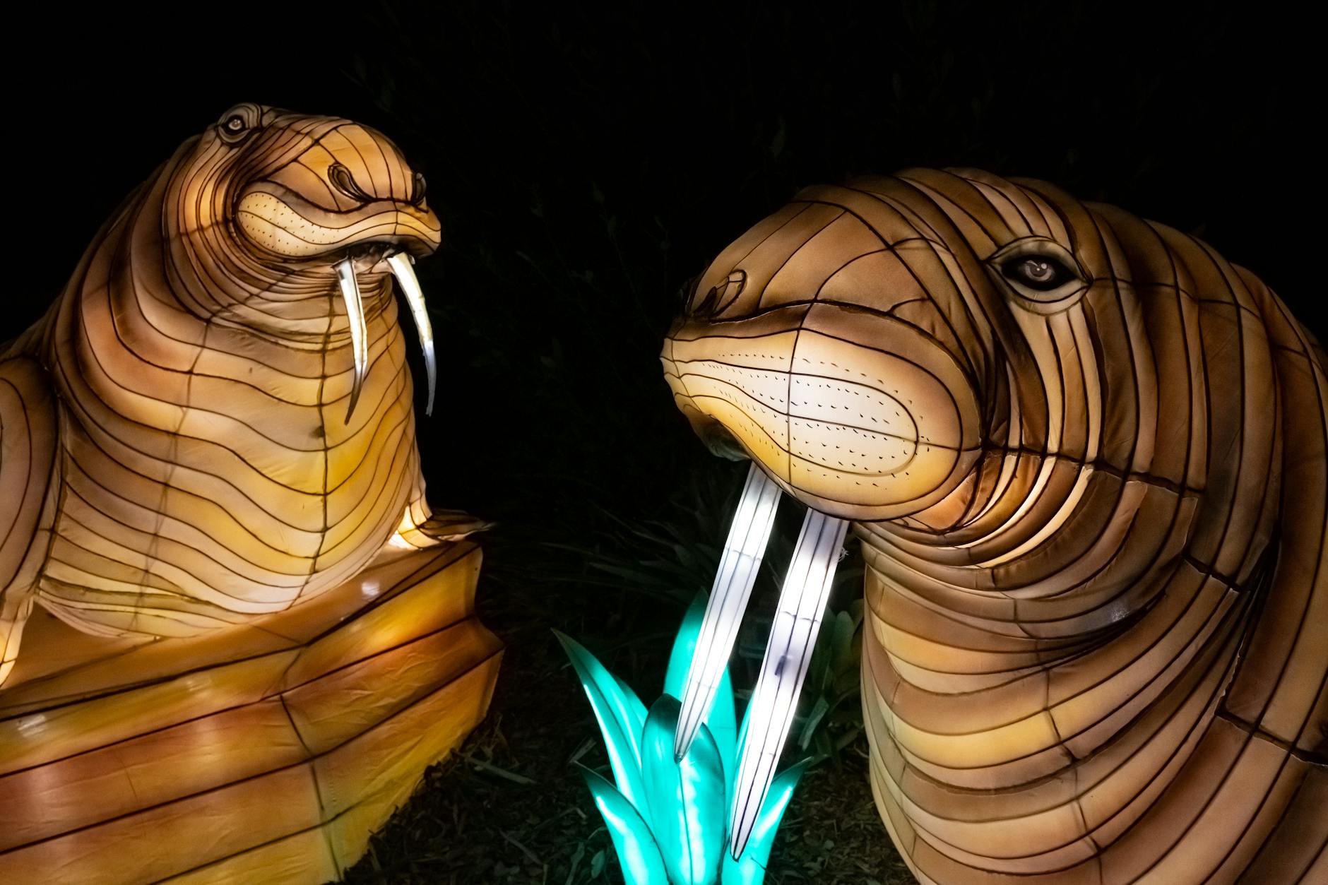 Symbolbild zum Thema Orlando City – Inter Miami