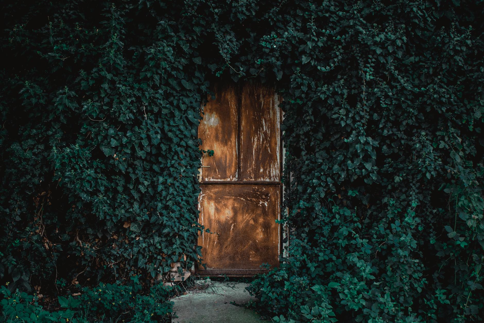 Detailansicht: Osijek – Hajduk