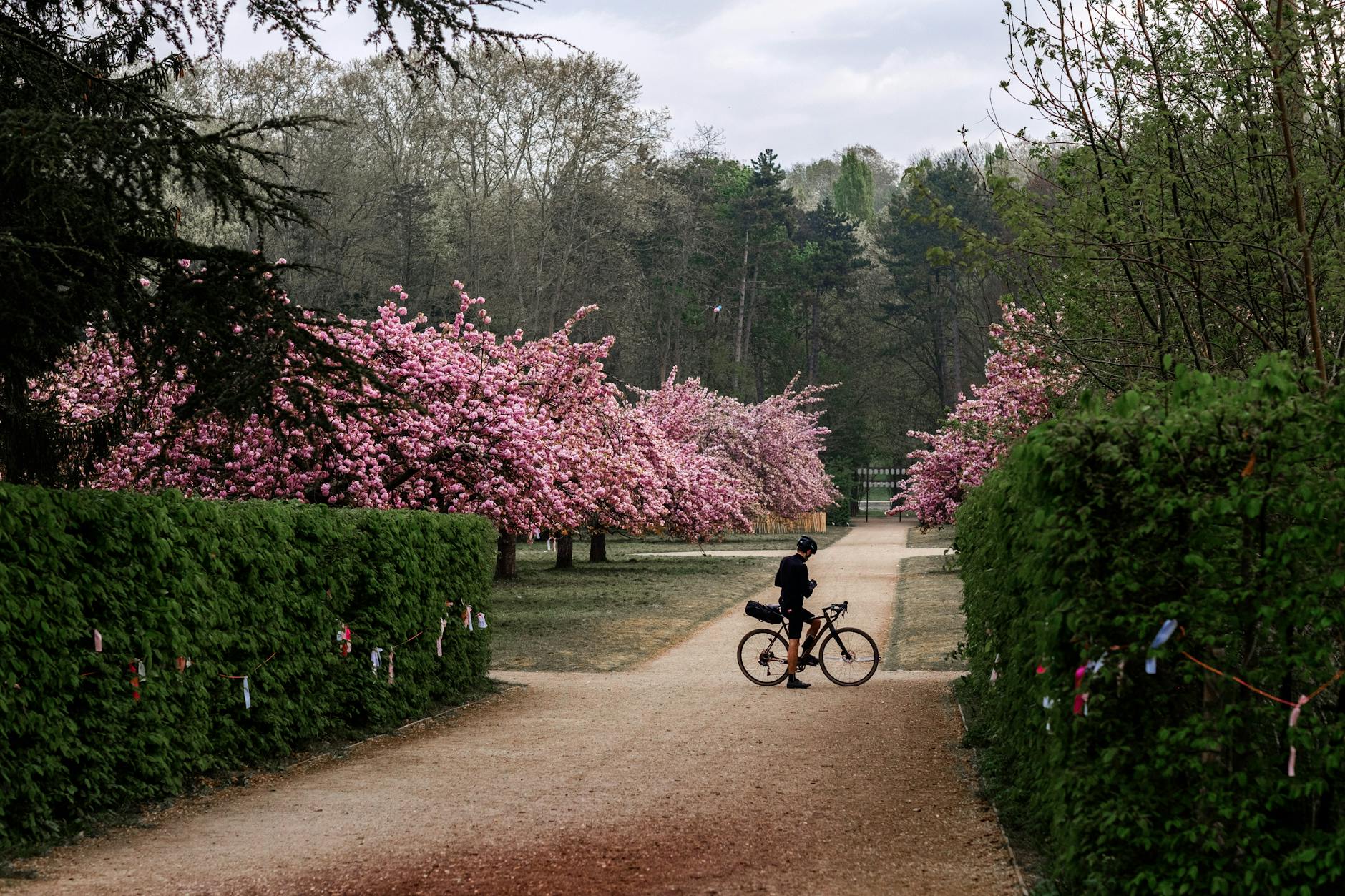 Paris Roubaix 2026 Startzeit Illustration zu Paris Roubaix 2026 Startzeit