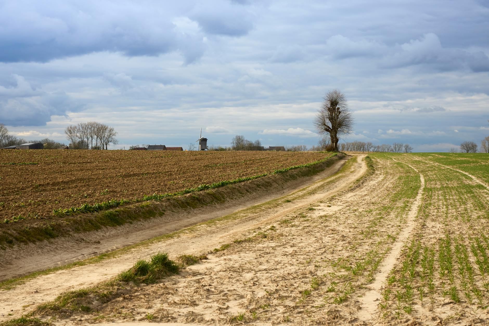 Illustration zu Paris Roubaix Strecke
