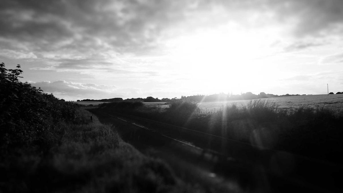 Illustration zu Paula Lambert